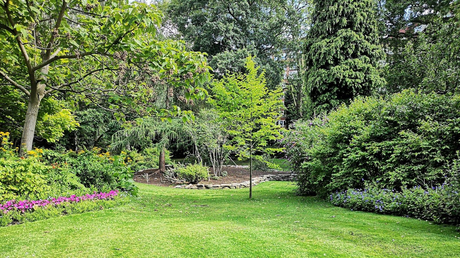 Green grass field with trees